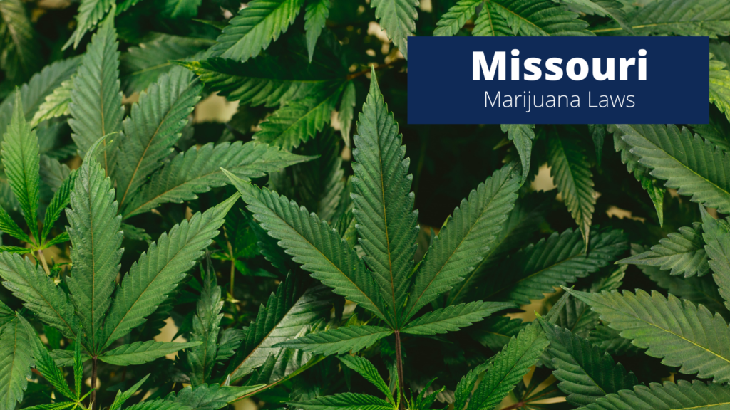 Missouri Marijuana Laws Fernandez Law